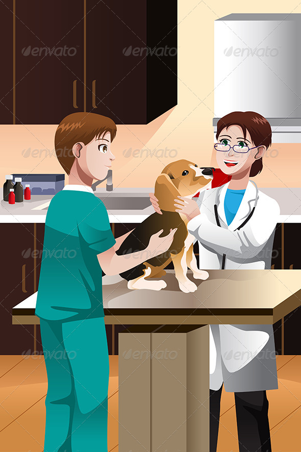 Veterinarian Examining a Dog - Health/Medicine Conceptual
