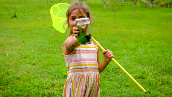 A Child Girl Catches Butterflies with a Butterfly Net alt