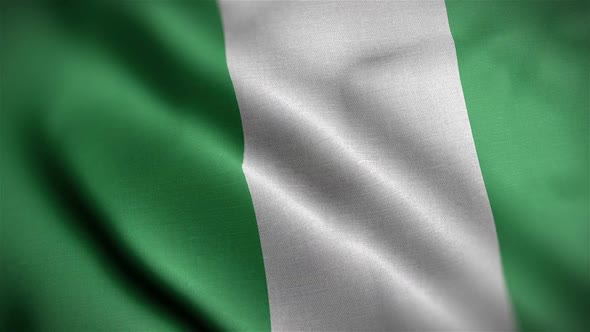 Nigeria Flag Closeup Blowing In Wind alt