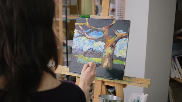 Woman Is Depicting Landscape on Canvas in Art Therapy Class View From Back alt