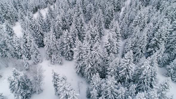 Aerial View Of Winter Landscape