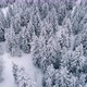 Aerial View Of Winter Landscape - VideoHive Item for Sale