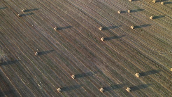 Straw Bales on Farmland with a Blue Cloudy Sky alt