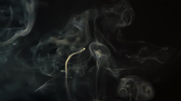 Smoke from a hookah and aramatized sticks on a black background alt