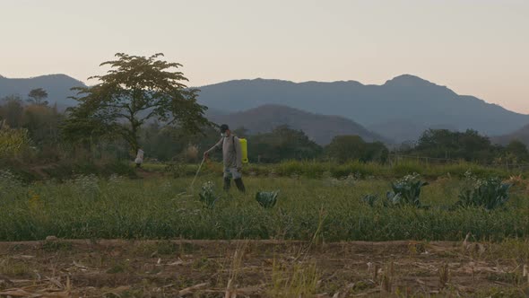Asian Farmer Treats Crops in the Field with Chemicals Chiang Mai Thailand alt