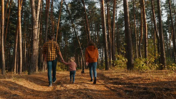 A Family of Three with a Dog Are Walking in a Pine Forest alt