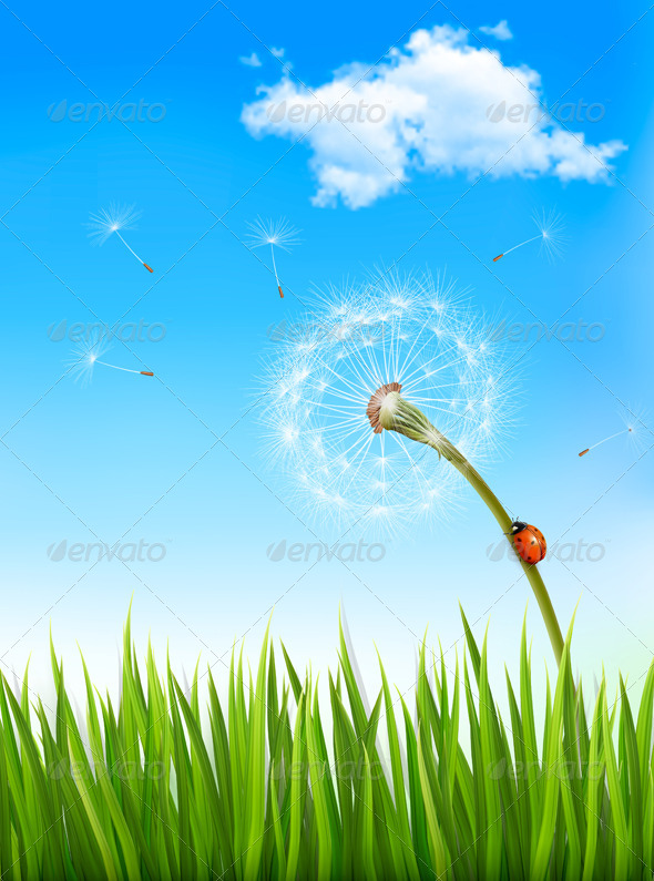Nature Background with a Dandelion and a Ladybug - Flowers & Plants Nature