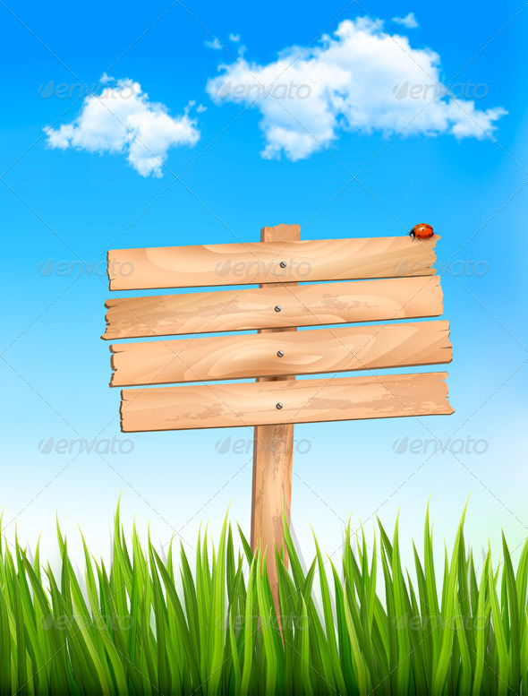 Nature Background with Wooden Sign - Nature Conceptual