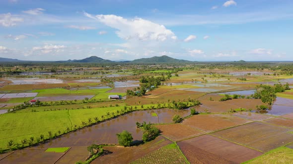 Paddy Fields in the Philippines. Mountain Landscape with Green Hills and Farmland. alt
