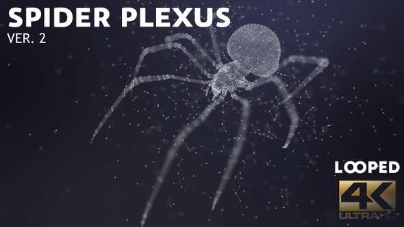 Plexus Spider Ver.2