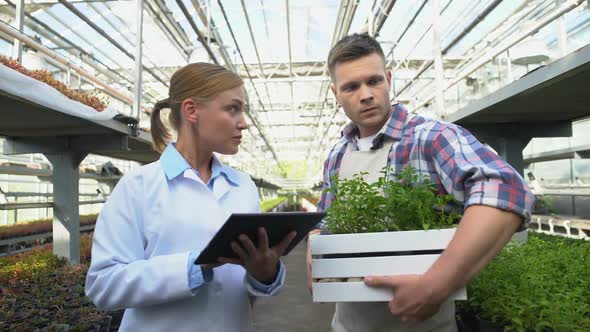 Certification Expert Checking Farm, Discussing Farming Technology With Farmer