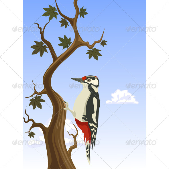 Woodpecker Clinging to a Tree Trunk - Animals Characters