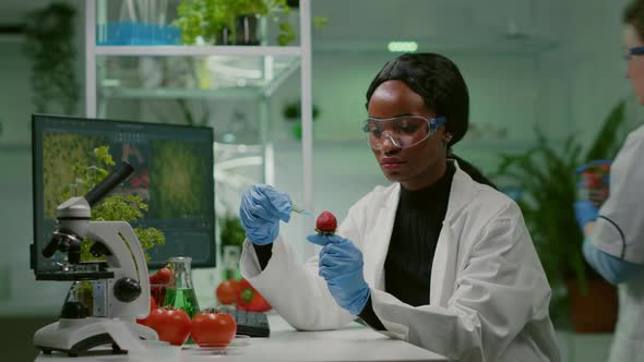 Chemist Scientist Injecting Strawberry with Organic Liquid Examining Dna Test alt