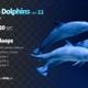 Three Dolphins 11 - VideoHive Item for Sale