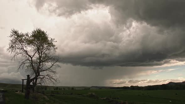 Time lapse of dramatic clouds swirling in the sky past single tree alt