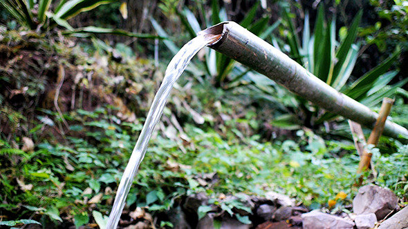 Bamboo Water Feature 02 alt