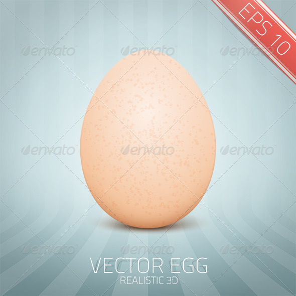 Vector Realistic Yellow Egg - Food Objects
