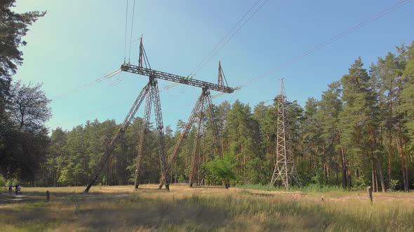 Forest High Voltage Lines alt