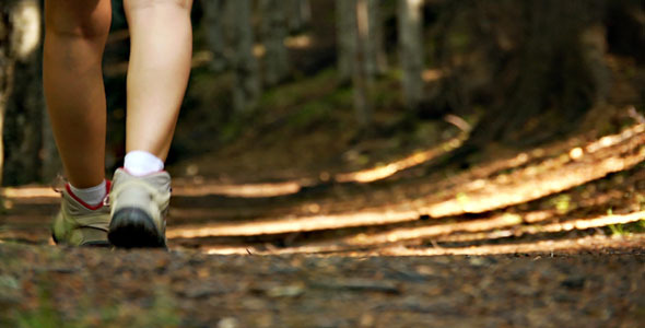 Girl Footsteps In Forest by cosmindumitrache | VideoHive