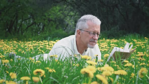 An Elderly Whitehaired Man with a Beard Sitting Alone on the Grass in a Nature Park with a Book