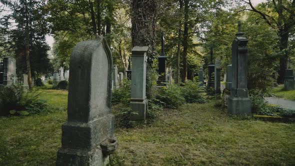 Mysterious Walk Around Graves in European Old Cemetery. The Concept of Horror. Slow Motion. alt