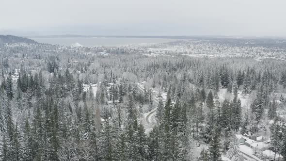 Beautiful Aerial Winter View Of Snowy Town Of Bellingham Wa In Pacific Northwest alt