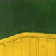 Top down view of green and yellow field in countryside. - VideoHive Item for Sale