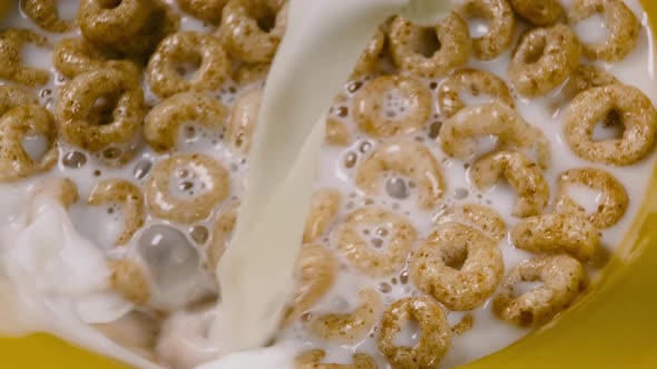 Pouring milk into bowl of ring corn flakes alt