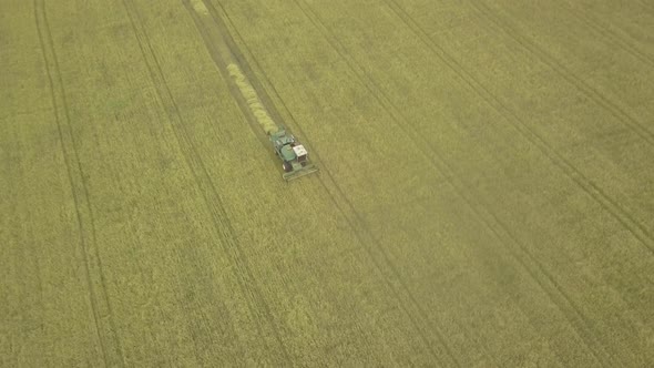 Aerial Drone Shot of a Combine Harvester Working in Autumn