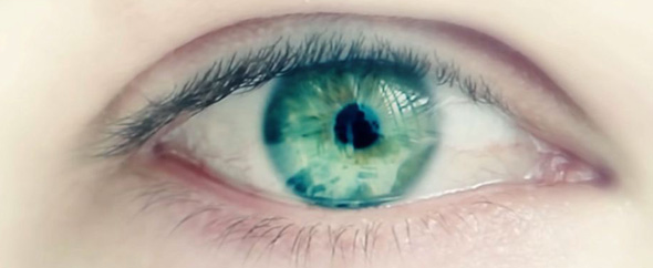 Oeil
