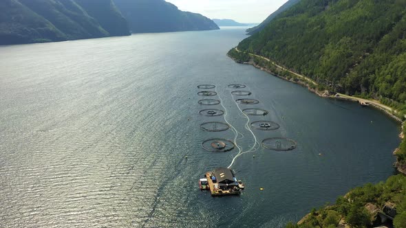 Farm Salmon Fishing in Norway alt