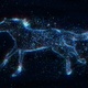Horse Stars Loop - VideoHive Item for Sale