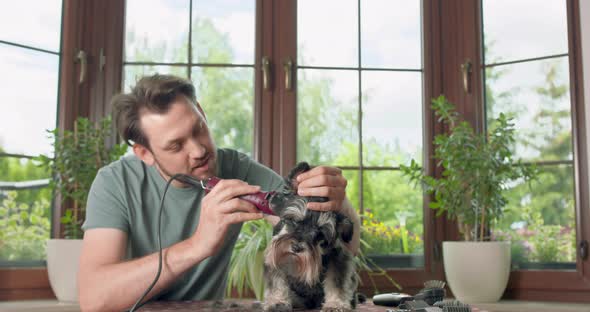 The Man with Beard and Mustashes is Clips a Yorkshire Terrier with a Clipper Dog Sits on the Table alt