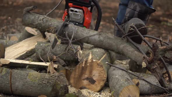 Sawing Log with Chainsaw in Slow Motion