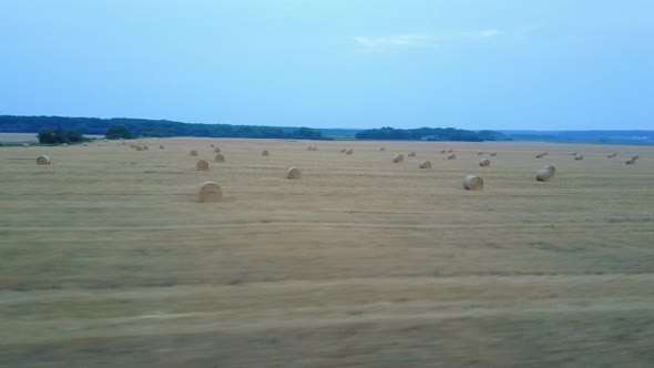 Golden Wheat Field With Hay Bales alt