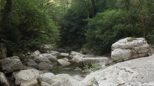 Mountain River Among the Rocks. Carpathian River in the Forest. A River in the Sochi Gorge. alt