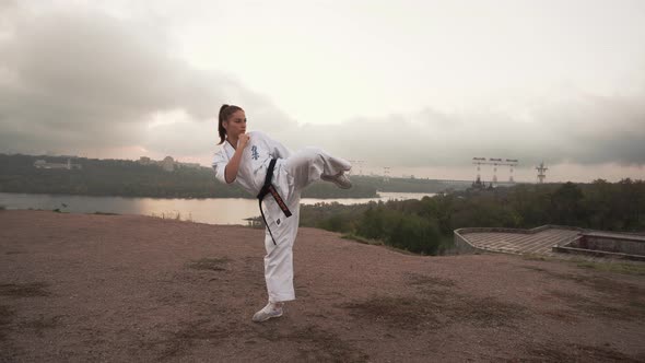 Translation Kyokushinkai alt