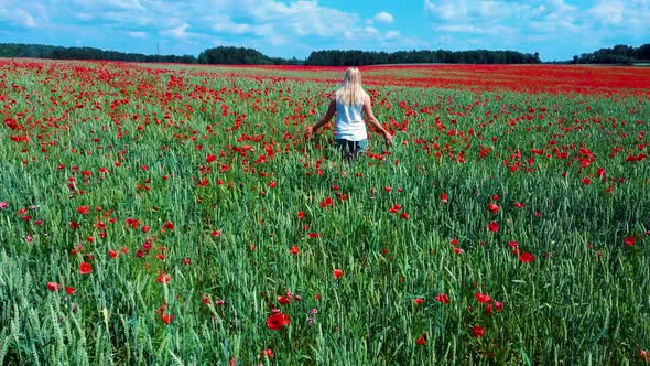 Young Blonde Woman  is Walking Through a Poppies Field Feeling Happy alt