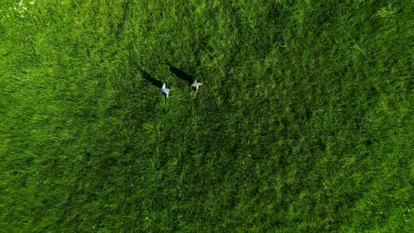 Two Men Go Through The Meadow Aerial From Above