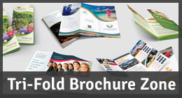 Tri-Fold Brochure Zone