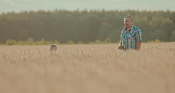 Man and a Son are Walking Across a Field with Golden Ears