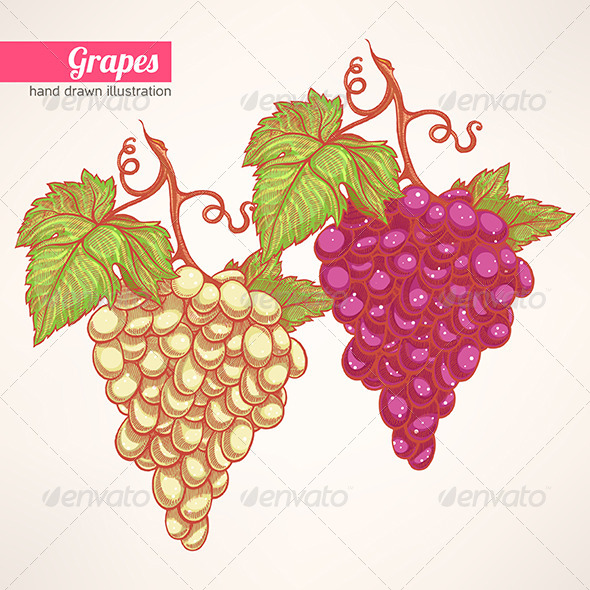 Bunches of Grapes - Flowers & Plants Nature