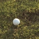 Golf Chip on grass - VideoHive Item for Sale