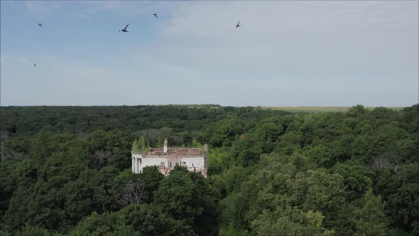 Birds fly against the background of a destroyed building. alt