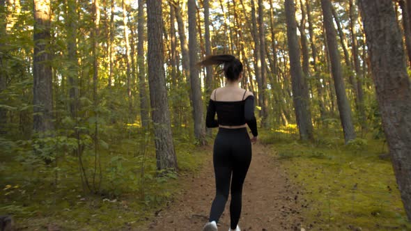 Young Woman Jogging in the Evening in the Pine Forest