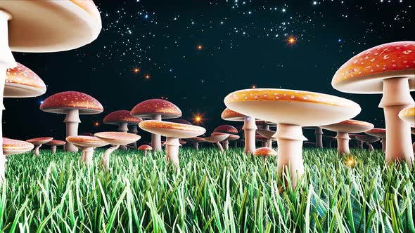 Magic Amanita Mushrooms #2 4k