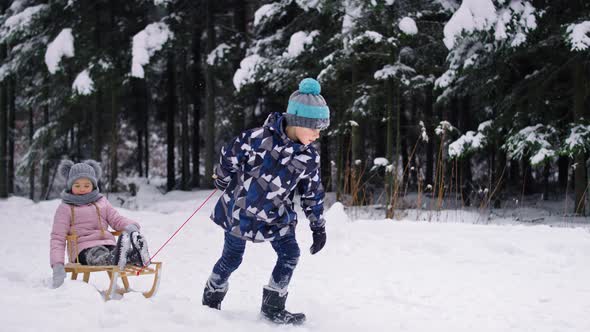 Wideo of boy pulling sledge with little sister in snow. Shot with RED helium camera in 8K. alt