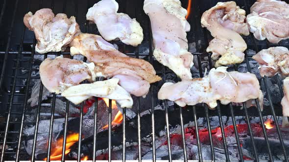 A Delicious Fried Dish with Chicken Meat Grilled Over Charcoal on a Grill alt