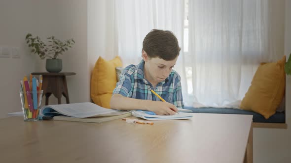 Young boy sitting at home preparing homework for school alt