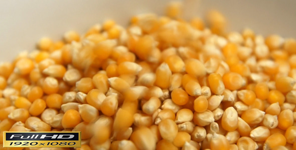 Pouring Corn Seeds | Full HD